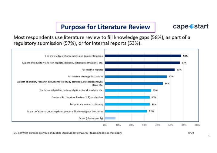 CapeStart's Literature Review Research Report